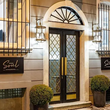 Hotel The Soul 3*